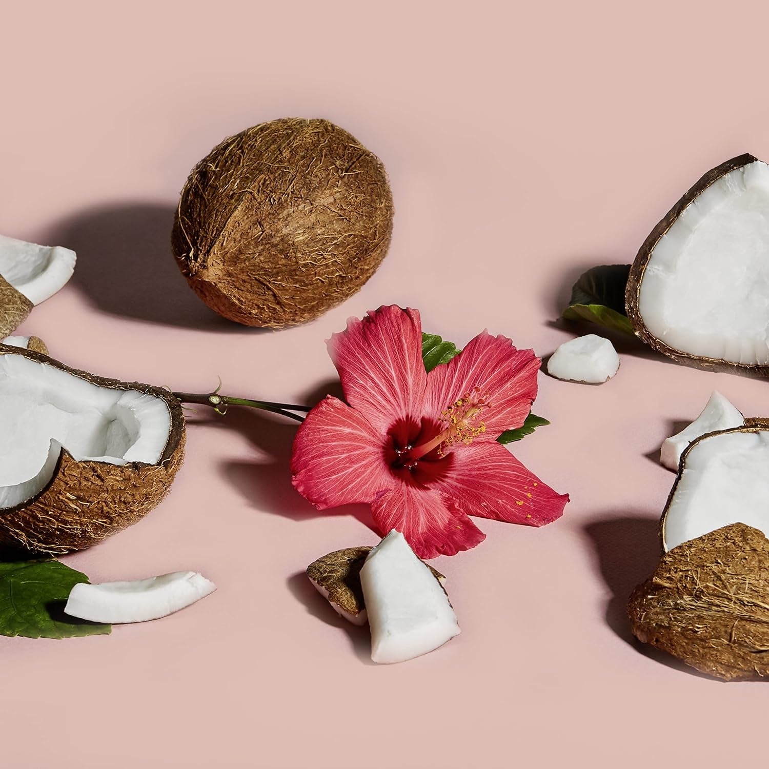 Kids Extra Moisturizing Detangler for Curly Hair Coconut and Hibiscus Kids Detangler with Shea Butter 8 Oz