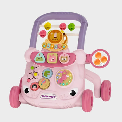 Multi-functional Push Walker