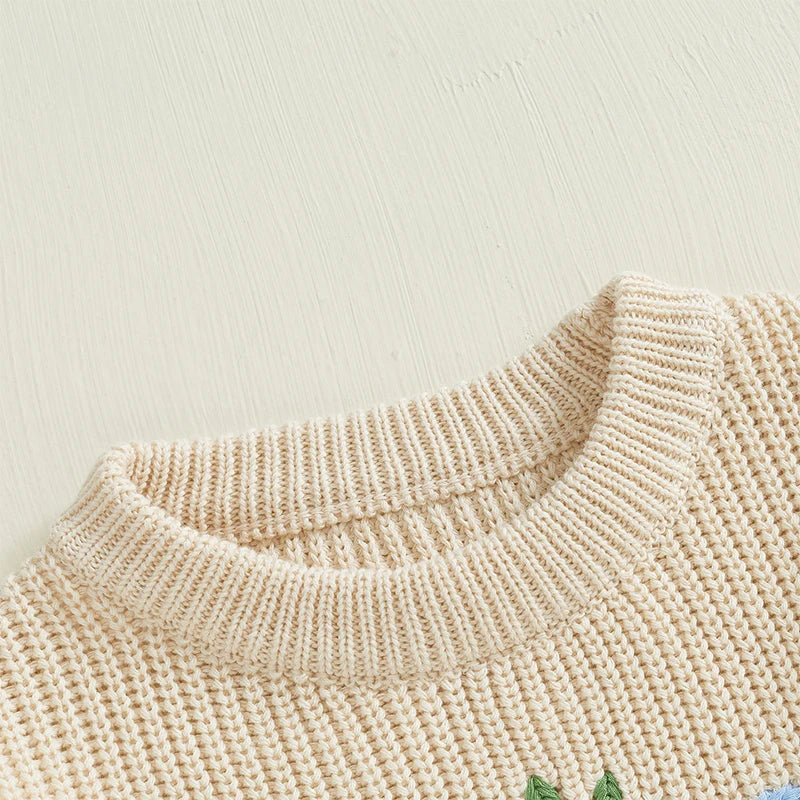 Strawberry Embroidered Sweaters