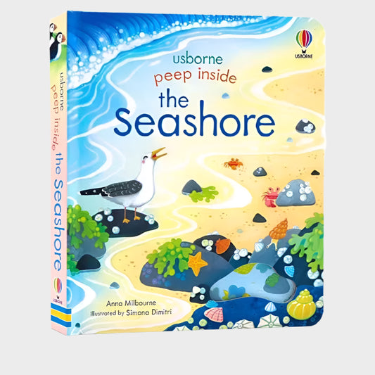 3D Flap Reading Book