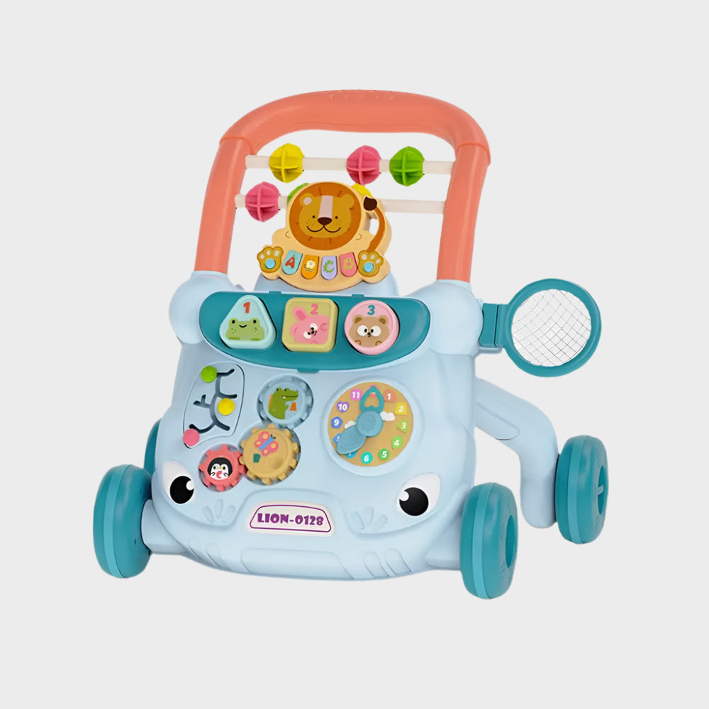 Multi-functional Push Walker