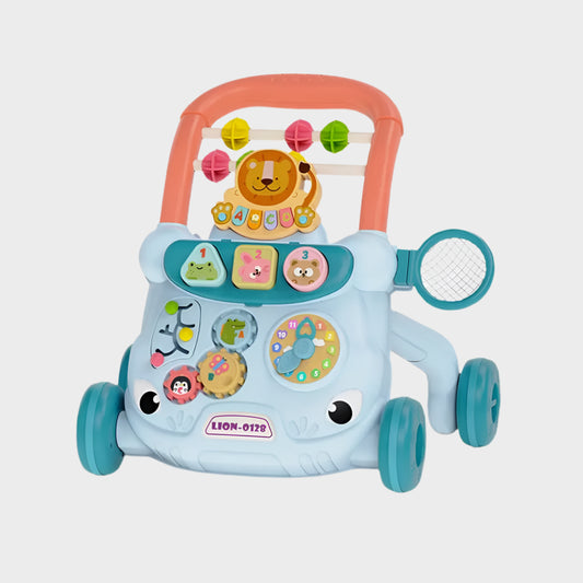 Multi-functional Push Walker