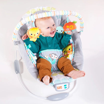 Whimsical Wild Vibrating Baby Bouncer Seat and Rocker
