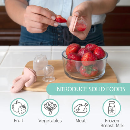 Silicone Baby Fruit Feeder and Teether Set with Breastmilk Popsicle Freezer Molds, Rose